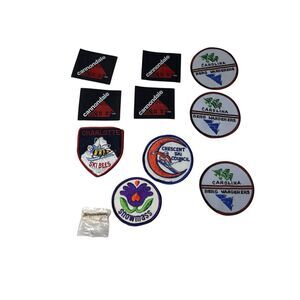 10 Vintage Ski Patches & Pin Cannondale Berg Wanderers Crescent Snowmass Bees